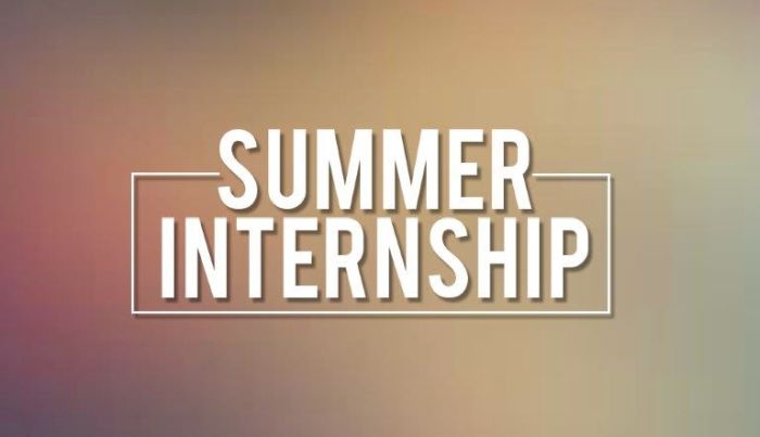 Summer Internships in the United States