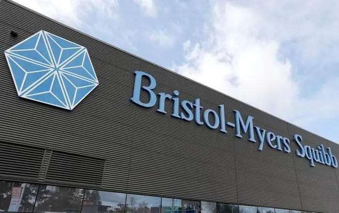 Bristol Myers Squibb Internships 2019                        