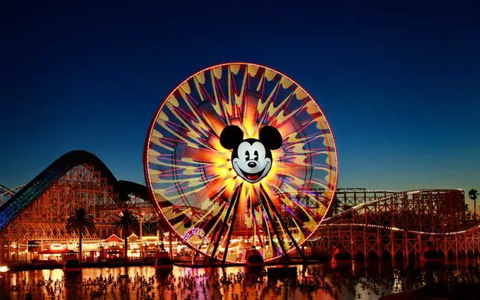 Disney College Internships in the United States, 2019