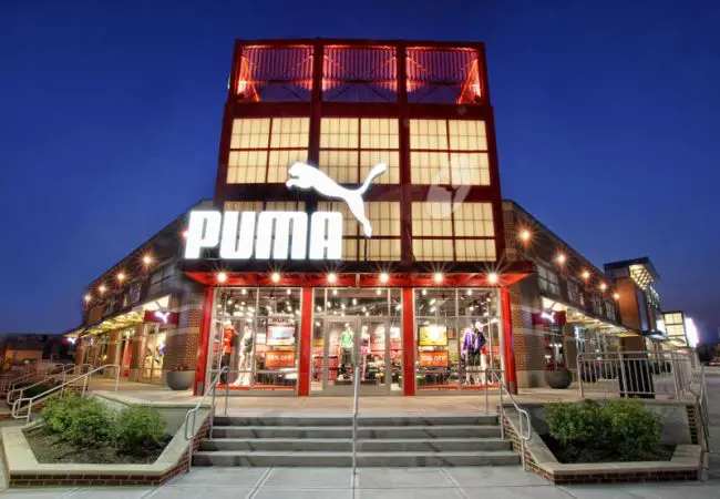 puma summer 2019 internship