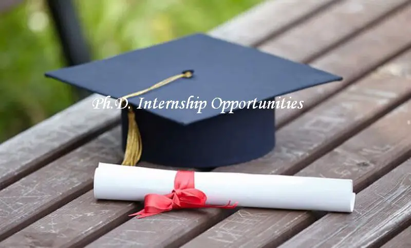 Best Ph.D. Internships 2019