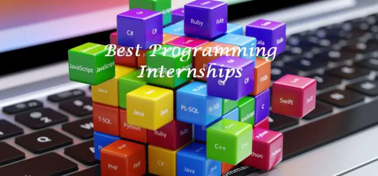 Blog - 2019 2020 Big Internships