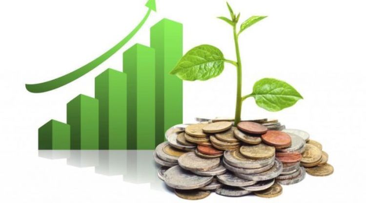 Economics Internship Opportunities