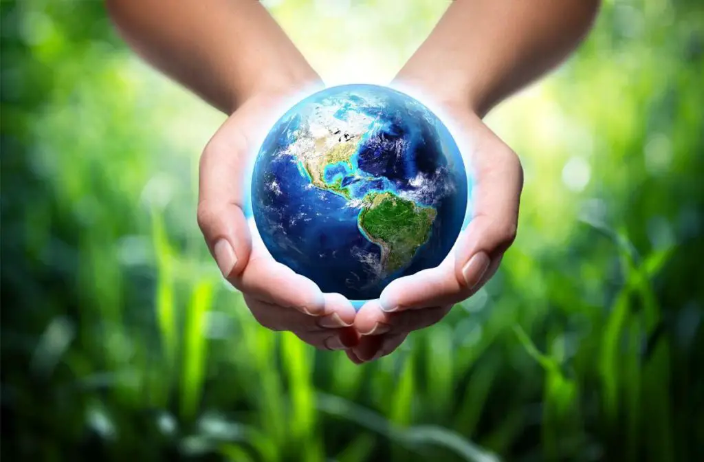 Top Ten Environmental Internships