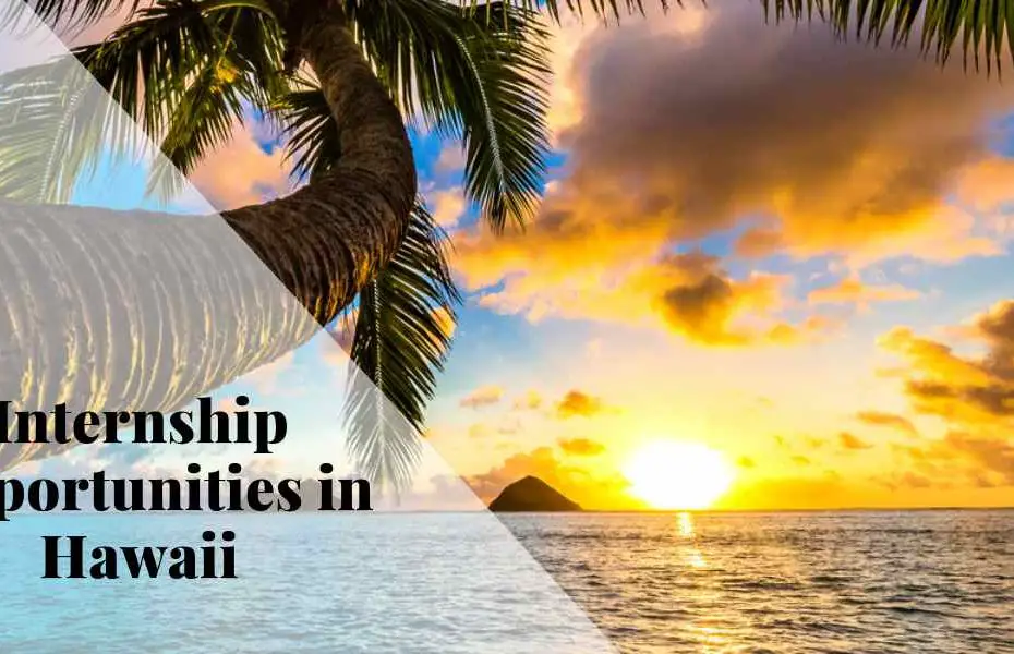 Internship Opportunity in Hawaii