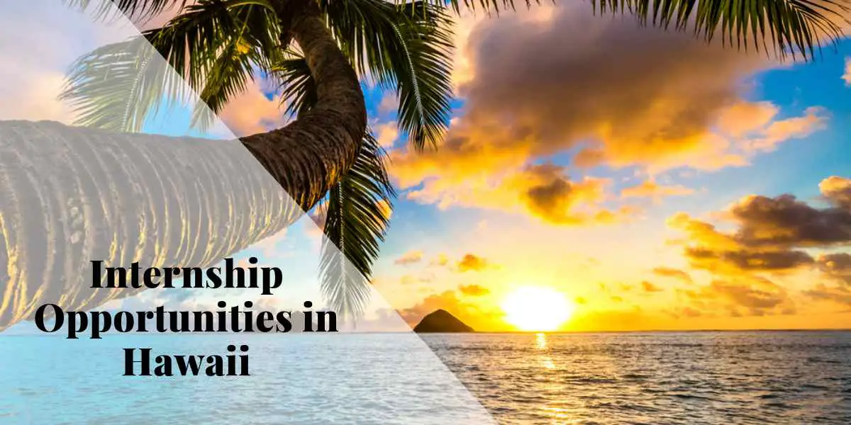 Internship Opportunities in Hawaii 2022 2023 Big Internships