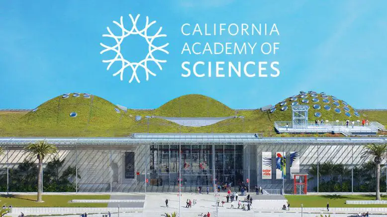 California Academy of Sciences Biological Illustration Internship for 2020