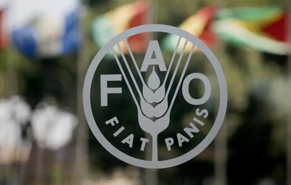 Food and Agriculture Organization (FAO) REU Internship