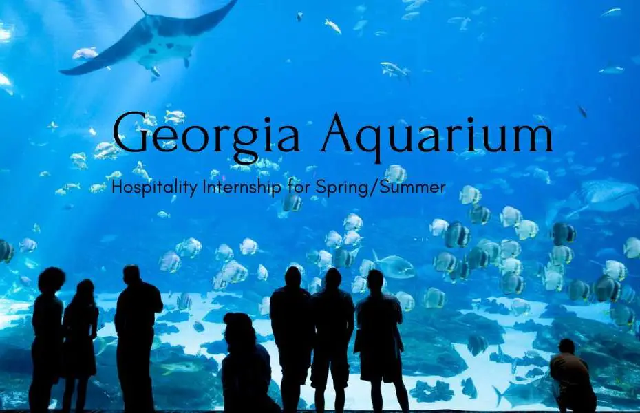 Georgia Aquarium Hospitality Internship