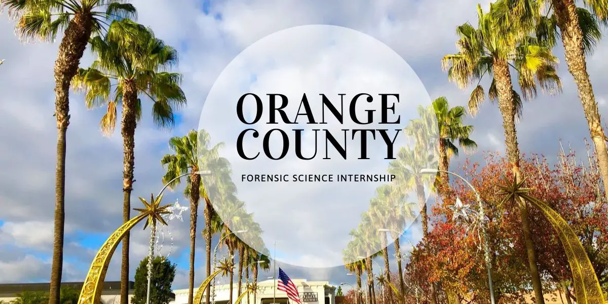 Orange County Forensic Science Internship 2022 2023 Big Internships