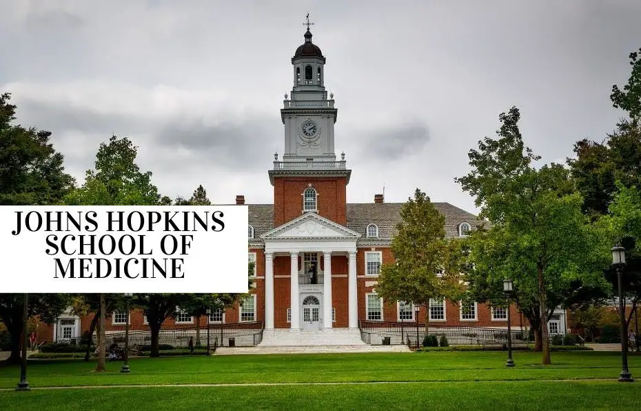 Summer Internship at Johns Hopkins School of Medicine
