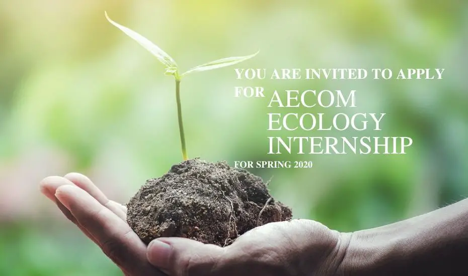 Aecom Ecology Internship for Spring 2020