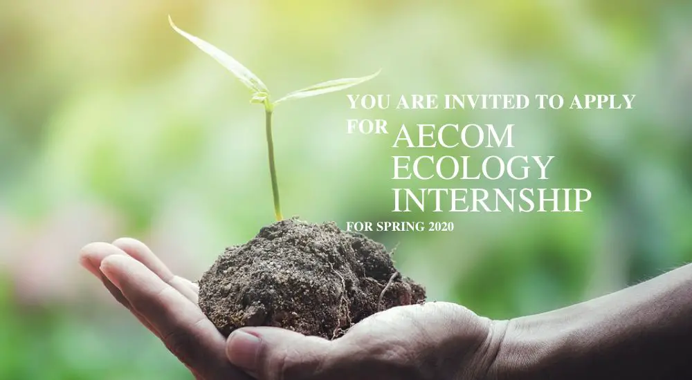 Aecom Ecology Internship for Spring 2020