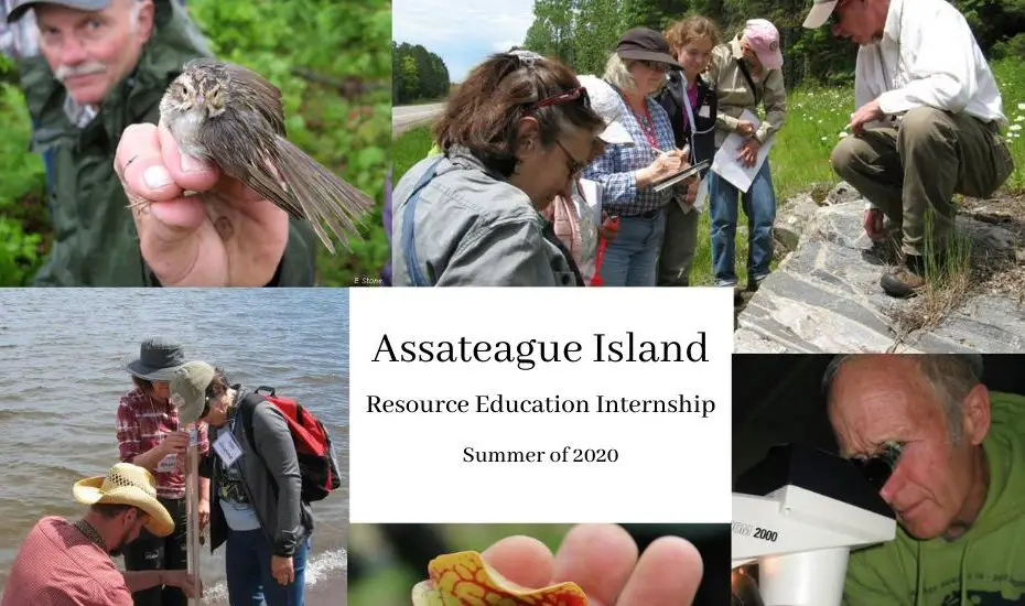 Assateague Island Resource Education Internship 
