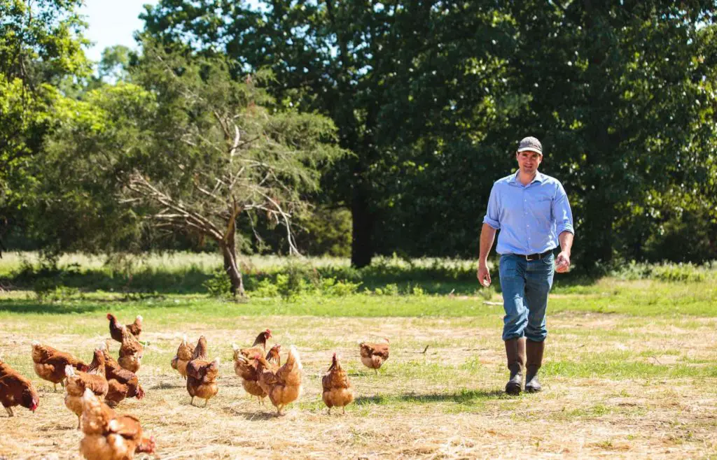 Land O’Lakes Purina Poultry Internship