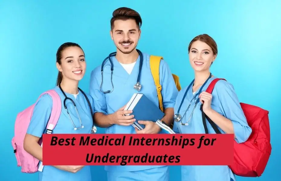 Best Medical Internships for Undergraduates