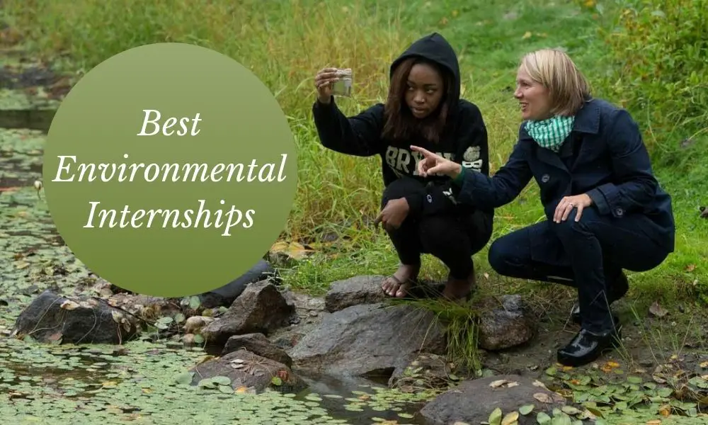 Best Environmental Internships